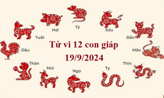 Tử vi 12 con giáp hôm nay 19/9/2024: Thìn khó khăn, Mão may mắn