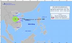 Bão số 4 tiến vào đất liền trên vùng biển Quảng Bình - Thừa Thiên Huế