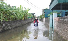 Cập nhật thiệt hại ban đầu do bão số 4