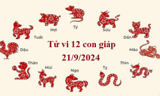 Tử vi 12 con giáp hôm nay 21/9/2024: Hợi rắc rối, Mùi bất an