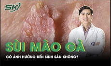 Người từng mắc sùi mào gà có ảnh hưởng đến việc sinh sản không?