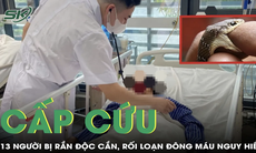 Cấp cứu 13 người bị rắn độc cắn, có loài chưa từng xuất hiện ở địa phương