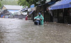 Nước dâng cao gây ngập sâu, tiểu thương chợ Vinh tất tả 'chạy đồ' lên cao