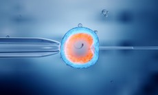 Trẻ sinh ra từ phương pháp IVF có nguy cơ mắc các bệnh về tim cao hơn?