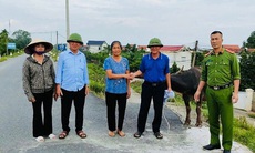 ‘Đầu cơ nghiệp’ bị lũ cuốn trôi từ Phú Thọ về Hà Nội, người nuôi trâu xúc động vì được nhận lại