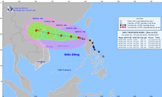 Bão số 3 sẽ đổ bộ trực tiếp vào những tỉnh thành nào?