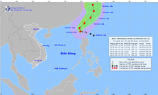 Bão số 5 giật cấp 17 đi vào Biển Đông