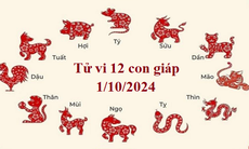 Tử vi 12 con giáp hôm nay 1/10: Sửu ổn định, Tỵ vướng tranh cãi