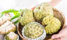 Khám phá 12 lợi ích của quả na với sức khỏe
