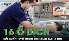 16 ổ dịch sốt xuất huyết bùng phát tại Hà Nội trong một tuần