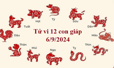 Tử vi 12 con giáp hôm nay 6/9/2024: Hợi ổn định, Thìn khó khăn