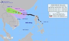 [LIVE] Tâm bão số 3 đang ở cách tỉnh Quảng Ninh 415km