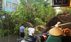 Hà Nội yêu cầu cưỡng chế di dời, không để người dân ở khu vực nguy hiểm khi bão đổ bộ