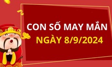 Con số may mắn hôm nay 8/9/2024 - số tài lộc 12 con giáp - số cát lành ngày mới