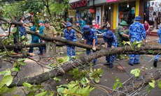 Tàu điện, xe buýt tại Hà Nội dự kiến vận hành trở lại vào chiều nay (8/9)