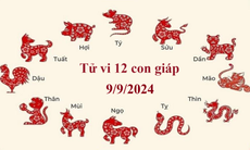 Tử vi 12 con giáp hôm nay 9/9/2024: Thân công việc trôi chảy, Tỵ vận trình giảm sút