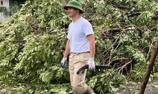Xà cừ 100 tuổi nhà NSƯT Chiều Xuân bật gốc, NSND Xuân Bắc dọn dẹp sau bão Yagi