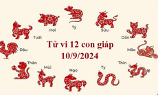 Tử vi 12 con giáp hôm nay 10/9/2024: Sửu triển vọng tài chính, Mùi thay đổi tích cực