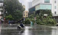 Đề nghị doanh nghiệp bảo hiểm tạm ứng, bồi thường thiệt hại do bão số 3