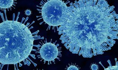 Số ca nhiễm norovirus tại Mỹ tăng cao bất thường