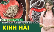 Bản tin Y tế 10/1: Hàng trăm con giun móc bám chặt tá tràng gây mất máu nghiêm trọng