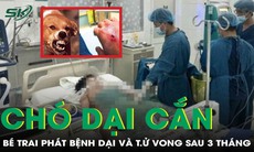 Chó dại cắn, bé trai 11 tuổi không qua khỏi sau 3 tháng