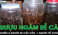 5 người nhập viện, 1 người  tử vong sau khi uống rượu ngâm rễ cây rừng