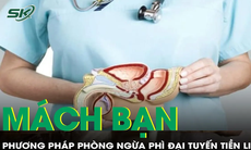 Chuyên gia bật mí cách phòng ngừa phì đại tuyến tiền liệt hiệu quả