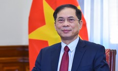 Phó Thủ tướng Bùi Thanh Sơn có thêm nhiệm vụ mới