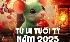 Tử vi tuổi Tý 2025: Biến động, thử thách xen lẫn nhiều cơ hội