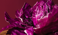 Rau củ màu tím có tác dụng gì?