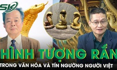 Năm Ất Tỵ, tản mạn về hình tượng rắn và tục thờ thuỷ thần kỳ lạ của người Việt