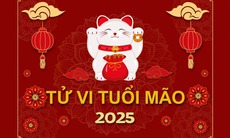 Tử vi tuổi Mão 2025: Một năm có hung có cát, có tốt có xấu