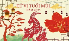 Tử vi tuổi Mùi 2025: Gặp nhiều bất lợi và khó khăn do Tam Tai tác động