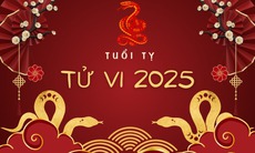 Tử vi tuổi Tỵ 2025: Năm tuổi nhiều thách thức, biến động tài vận lẫn cuộc sống