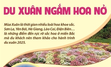 Du xuân ngắm hoa nở