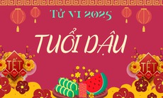 Tử vi tuổi Dậu 2025: Tam Hợp nâng đỡ, hứa hẹn nhiều vận may và cơ hội