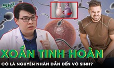 Xoắn tinh hoàn có là nguyên nhân dẫn đến vô sinh?