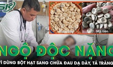 Ngộ độc nặng vì dùng bột hạt sang chữa đau dạ dày, tá tràng