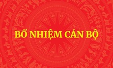 Bổ nhiệm 1 trợ lý Thủ tướng, 2 trợ lý Phó Thủ tướng và 2 Phó Tổng Tham mưu trưởng QĐND Việt Nam