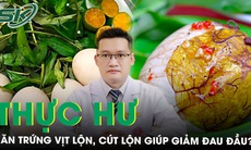 Thực hư ăn trứng vịt lộn, cút lộn thường xuyên giúp giảm đau đầu?