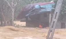 Video: Nghẹt thở khoảnh khắc lực lượng cứu hộ vượt dòng nước xiết cứu 2 cụ già thoát chết