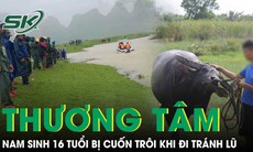 Tìm thấy thi thể nam sinh 16 tuổi bị cuốn trôi khi cùng mẹ dắt trâu đi tránh lũ