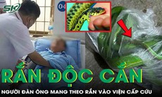 Bị rắn độc cắn, người đàn ông bắt 'thủ phạm' vào túi nilon mang theo cấp cứu