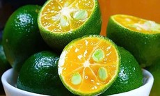7 loại trái cây giúp tóc đen mượt và chắc khỏe từ bên trong