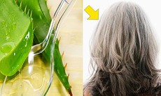Loại lá có tác dụng phục hồi tóc hư tổn chỉ sau vài lần gội đầu