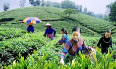 Lào Cai xây dựng nông thôn mới kiểu mẫu từ năm 2025