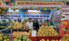 Bộ Công thương sắp tổ chức 'siêu' hội chợ Quốc gia, mức giảm giá hàng hóa lên tới 100%