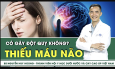 [LIVE] Thiếu máu não có gây đột quỵ không?