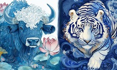 Tử vi 12 con giáp hôm nay 3/10: Tuất trôi chảy,  Dậu hanh thông